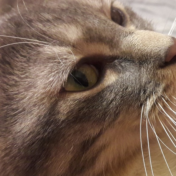 Meet your Posher, Maria - Picture 4 of 4